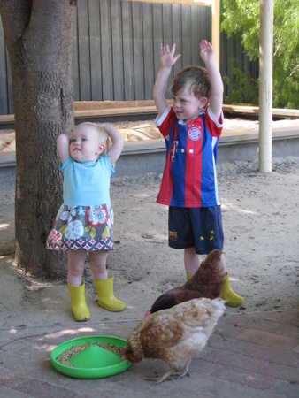 Annie and Olly meet the chooks