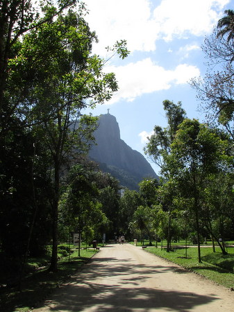 Rio Botanical Gardens