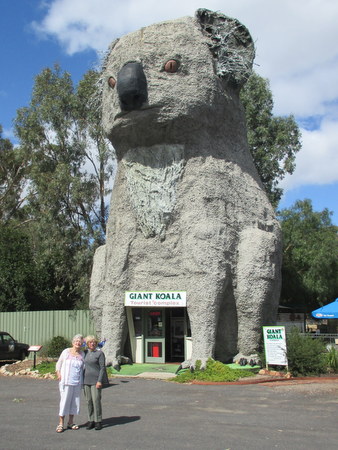 the giant koala