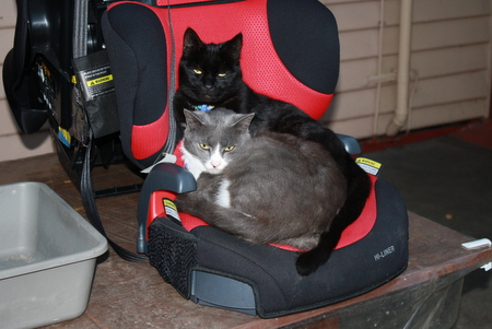 smokey and sooty